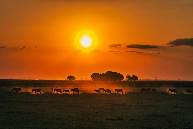 kenia7 para web top